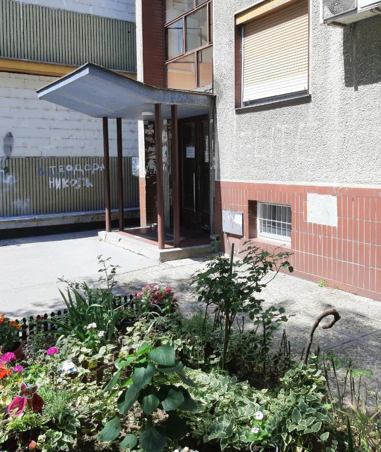 Ada, New Belgrade Lejlighed Eksteriør billede